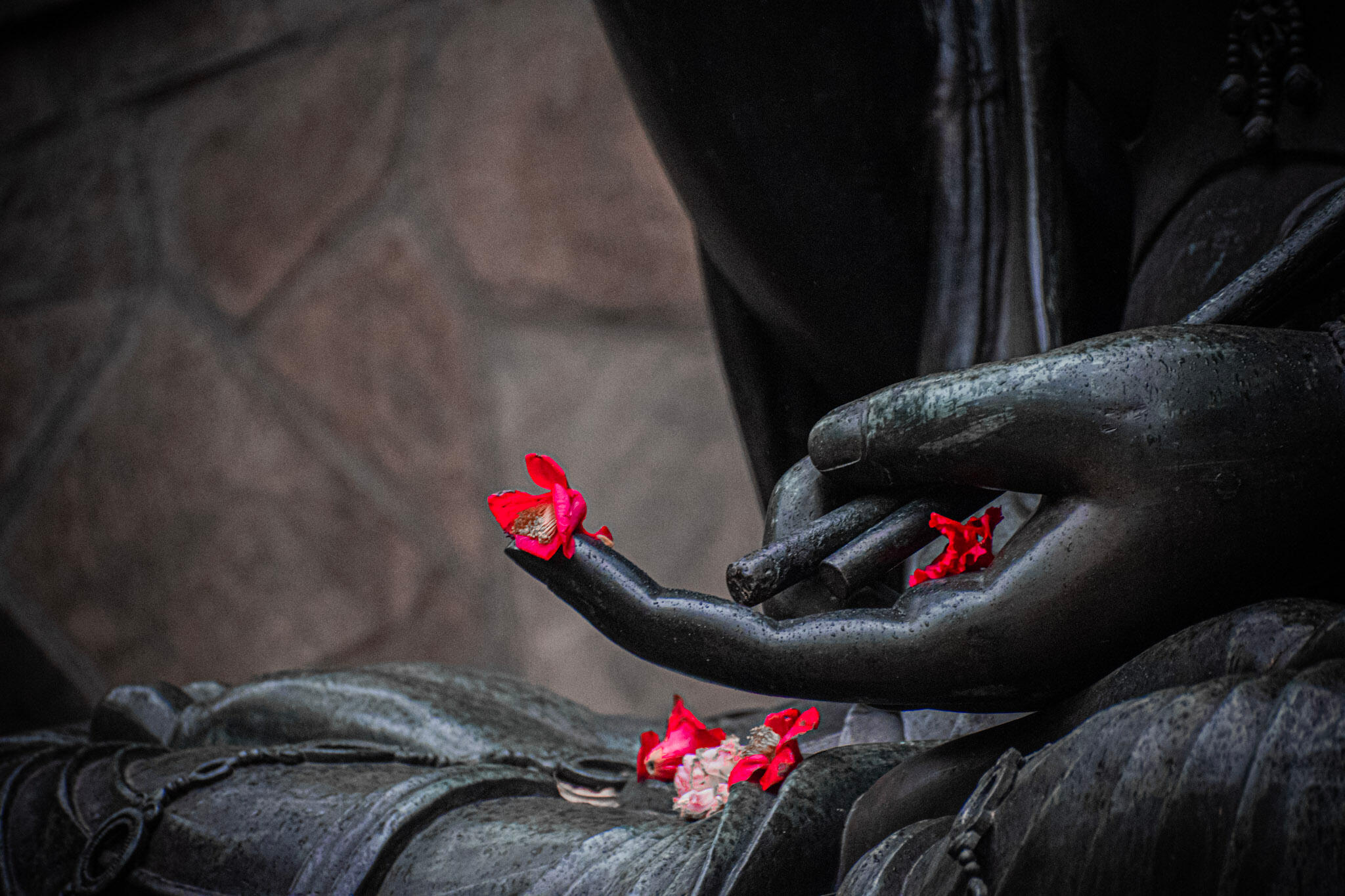 Photography by Tristan Taal